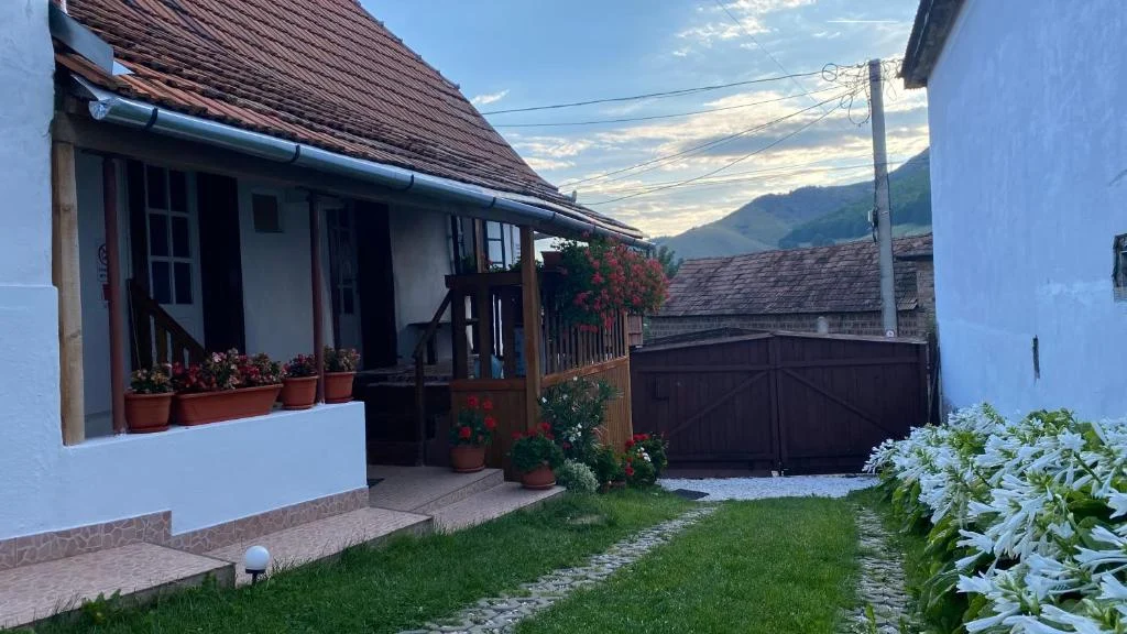 Priveliște din curte
